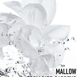 Dior Hydra Life Fresh Sorbet Creme Moisturizer 12 Dior Hydra Life Fresh Sorbet Creme Moisturizer -Bobbi Brown sales 00000000 20263849 04 ai