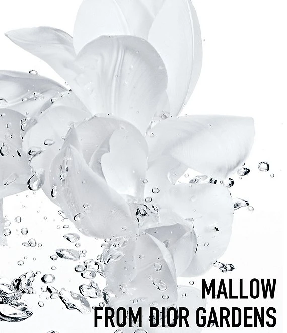 Dior Hydra Life Intense Sorbet Creme Moisturizer 4 Dior Hydra Life Intense Sorbet Creme Moisturizer - Afbeelding 2