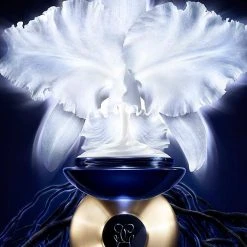 Guerlain Orchidee Imperiale Light Cream -Bobbi Brown sales 00000000 20266172 02 ai