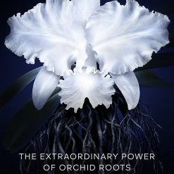 Guerlain Orchidee Imperiale Cream Refill 13 Guerlain Orchidee Imperiale Cream Refill -Bobbi Brown sales 00000000 20282446 04 ai