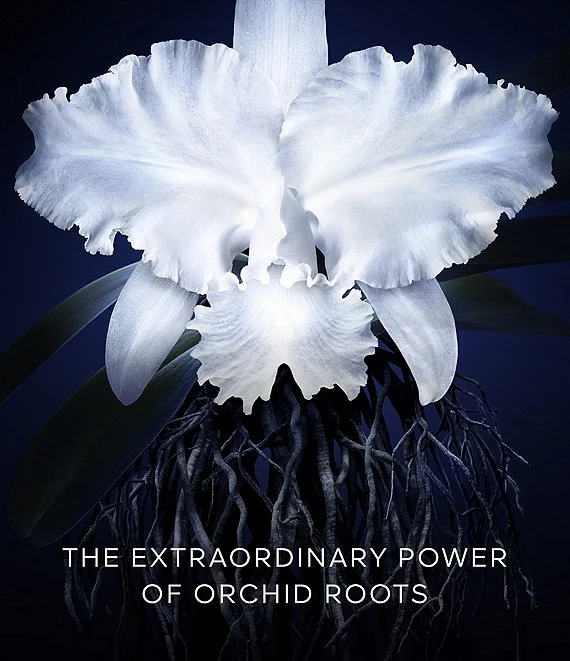 Guerlain Orchidee Imperiale Cream Refill 8 Guerlain Orchidee Imperiale Cream Refill - Afbeelding 6