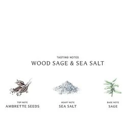 Jo Malone London Wood Sage & Sea Salt Hand Cream, 1.7-oz.