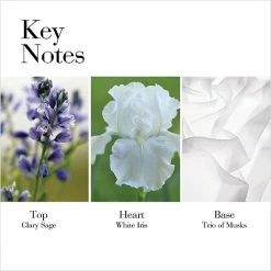 Elizabeth Arden White Tea Eau De Toilette 2-Piece Gift Set