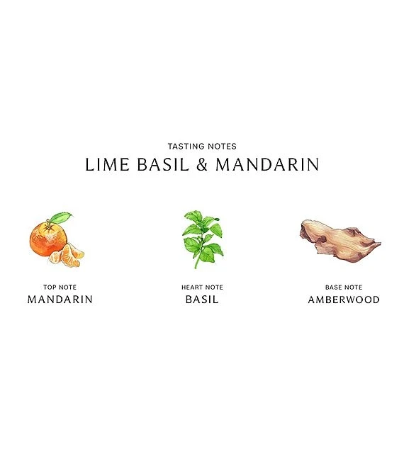 Jo Malone London Lime Basil & Mandarin Bath Oil Decanter, 1-oz. 5 Jo Malone London Lime Basil & Mandarin Bath Oil Decanter, 1-oz. - Afbeelding 3