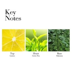 Elizabeth Arden Green Tea Cream Deodorant