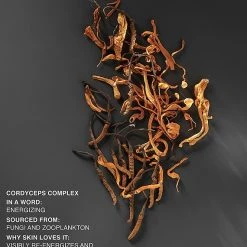 Bobbi Brown Intensive Serum Concealer -Bobbi Brown sales 00000000 zi e83a09c2 1d91 4e64 b07b e797b7c9f77b 03 ai