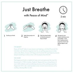 Origins Sensory Therapy Peace Of Mind On-the-Spot Relief 8 Origins Sensory Therapy Peace Of Mind On-the-Spot Relief -Bobbi Brown sales 00512494 03 ai