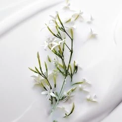 Dior J'adore Beautifying Body Milk