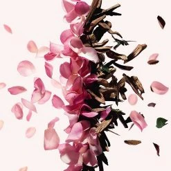 Givenchy Irresistible Hydrating Body Lotion