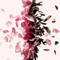 Givenchy Irresistible Bath And Shower Oil