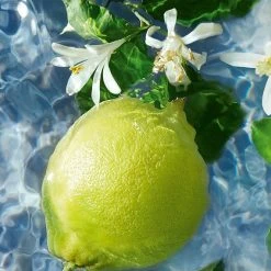 Guerlain Aqua Allegoria Bergamote Calabria Shower Gel -Bobbi Brown sales 20082609 02 ai