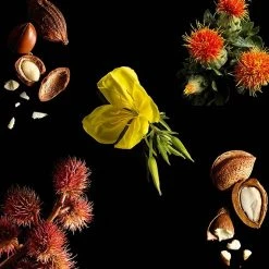 Yves Saint Laurent Beaute Or Rouge L'Huile Anti-Aging Face Oil -Bobbi Brown sales 20111198 04 ai