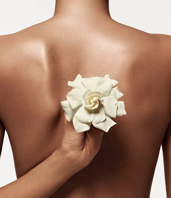 Donna Karan Cashmere Mist The Body Lotion 3 Donna Karan Cashmere Mist The Body Lotion