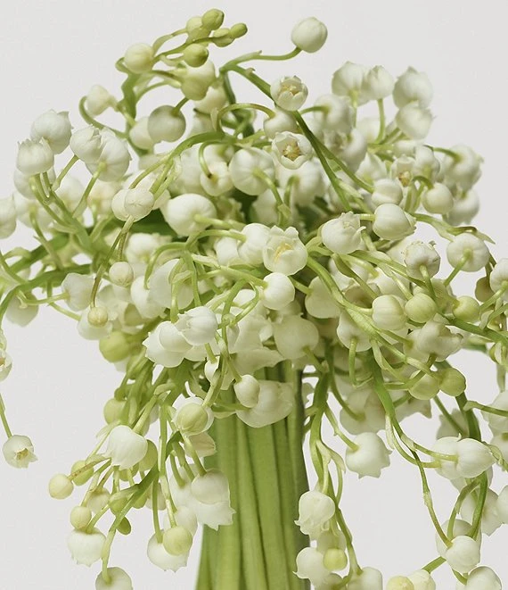 Donna Karan Cashmere Mist The Body Lotion 6 Donna Karan Cashmere Mist The Body Lotion - Afbeelding 4