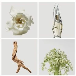 Donna Karan Cashmere Mist Eau De Parfum 3 Piece Gift Set -Bobbi Brown sales 20261949 03 ai