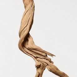 Donna Karan Cashmere Mist Eau De Parfum 3 Piece Gift Set -Bobbi Brown sales 20261949 04 ai